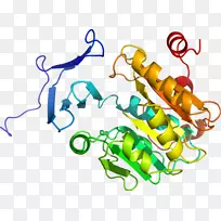 线点剪贴画-线-空若网 线点剪贴画-线-空若网