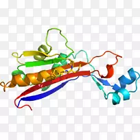人体珠宝线有机体剪贴画线-空若网 人体珠宝线有机体剪贴画线-空若网