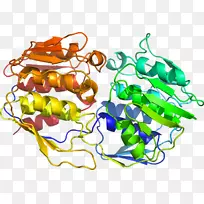 �߲��л���ϵ�м�����-�߲�-������