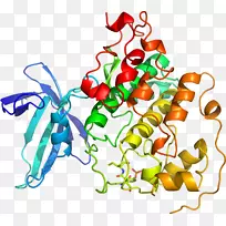 �߲�����������-�߲�-������