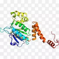 ���������л����߼�������-������