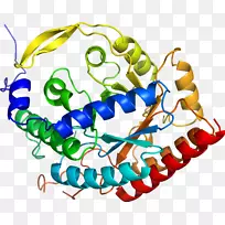 人体首饰有机体线剪贴画线-空若网 人体首饰有机体线剪贴画线-空若网
