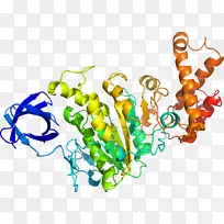 人体首饰有机体线剪贴画线-空若网 人体首饰有机体线剪贴画线-空若网