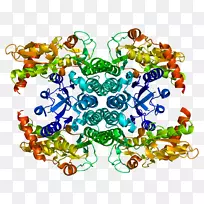 珠宝首饰剪贴画.珠宝-空若网 珠宝首饰剪贴画.珠宝-空若网