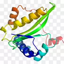 人体首饰有机体线剪贴画线-空若网 人体首饰有机体线剪贴画线-空若网