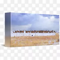 画笔画框草镀金.帆布架-空若网 画笔画框草镀金.帆布架-空若网