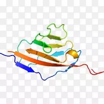 线点剪贴画-线-空若网 线点剪贴画-线-空若网