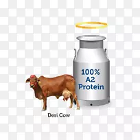 牛鼻设计-空若网 牛鼻设计-空若网