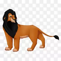 狗繁殖狮子猫鼻子-骄傲岩石-空若网 狗繁殖狮子猫鼻子-骄傲岩石-空若网