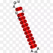 人体珠宝线剪贴画线-空若网 人体珠宝线剪贴画线-空若网
