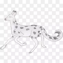 犬科狗线艺术爪子野生动物-狗-空若网 犬科狗线艺术爪子野生动物-狗-空若网