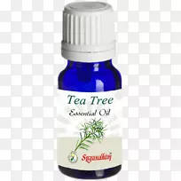 蒸馏薰衣草精油茶油-空若网 蒸馏薰衣草精油茶油-空若网