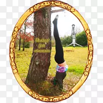 �����-��-������