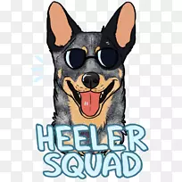 澳洲牛狗t恤-空若网 澳洲牛狗t恤-空若网