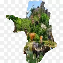 Ê÷ÊÒÄÚÖ²Îï-Ê÷-¿ÕÈôÍø Ê÷ÊÒÄÚÖ²Îï-Ê÷-¿ÕÈôÍø