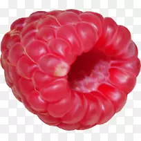 ��ݮ(Raspberry Pi Auglis)-ɭ��ˮ��-������