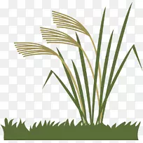 Òø²Ý-Çï¼¾-¿ÕÈôÍø Òø²Ý-Çï¼¾-¿ÕÈôÍø