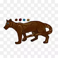 大猫狗犬科猫科动物-空若网 大猫狗犬科猫科动物-空若网