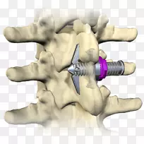 骨动物手指-空若网 骨动物手指-空若网