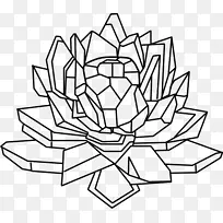 ���Գ�������������������-������