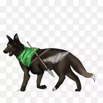 狗繁殖动物野生动物-空若网 狗繁殖动物野生动物-空若网