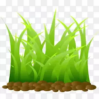 Rgbɫģ�Ͳݻ��ѷ�-������