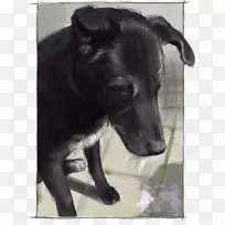 ����ֳ�˶�������Ӻ���-̫���ˣ����������㡣-������