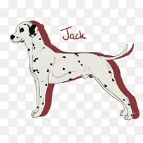 达尔马提亚犬繁殖非运动团体-102只达马提亚犬到救援。-空若网 达尔马提亚犬繁殖非运动团体-102只达马提亚犬到救援。-空若网