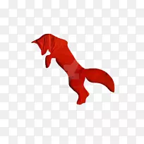 犬科犬,海洋,动物-狗-空若网 犬科犬,海洋,动物-狗-空若网