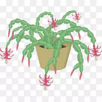 开花植物圣诞装饰植物茎叶-空若网 开花植物圣诞装饰植物茎叶-空若网