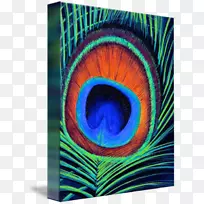 羽毛油画抽象艺术画布水彩画孔雀-空若网 羽毛油画抽象艺术画布水彩画孔雀-空若网