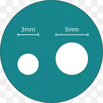 ����ѧ����Ʒ�Ƽ�������-������