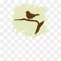 鹰嘴鸟-空若网 鹰嘴鸟-空若网