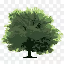 ��-��Ԫ��-������