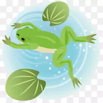 蛙蛙泳爬行动物-ai.zip-空若网 蛙蛙泳爬行动物-ai.zip-空若网