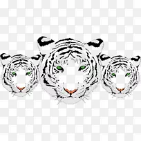 虎t恤字母工作表-空若网 虎t恤字母工作表-空若网