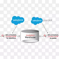 Salesforce.com Pardotҵ������-dw����-������