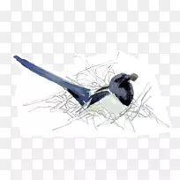 ๱Ç-¿ÕÈôÍø ๱Ç-¿ÕÈôÍø