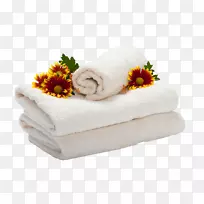 ��֯����-������