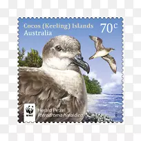 亚洲和澳大利亚的鸟类、茧(龙骨)岛、澳大利亚邮政邮票和澳大利亚邮政历史-通缉邮票-空若网 亚洲和澳大利亚的鸟类、茧(龙骨)岛、澳大利亚邮政邮票和澳大利亚邮政历史-通缉邮票-空若网