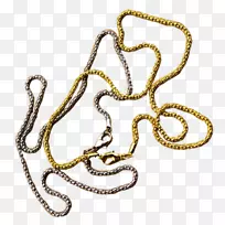 人体珠宝链动物字体-皮肤蛇-空若网 人体珠宝链动物字体-皮肤蛇-空若网