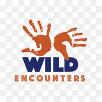 标志品牌手指线字体-小城市-空若网 标志品牌手指线字体-小城市-空若网