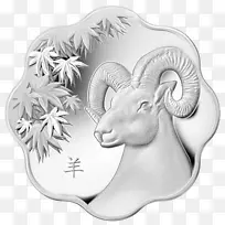 �����ҽ�-����-������