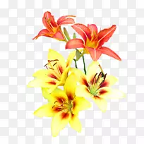 花卉设计剪花植物茎-夏季销售海报-空若网 花卉设计剪花植物茎-夏季销售海报-空若网