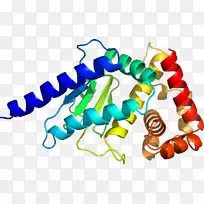 ��װ�����л���ʱ�м�����-������