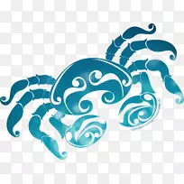 癌症占星术星座符号-空若网 癌症占星术星座符号-空若网