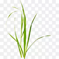 创意珠宝卡通-空若网 创意珠宝卡通-空若网