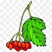 °Â¸ñÀï˹ˮ¹û¼ôÌù»-¿ÕÈôÍø °Â¸ñÀï˹ˮ¹û¼ôÌù»-¿ÕÈôÍø