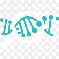 ����ҽѧ���Ի�ҽѧ�������ѧ-������