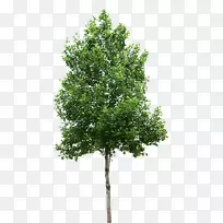 ������������-��-������